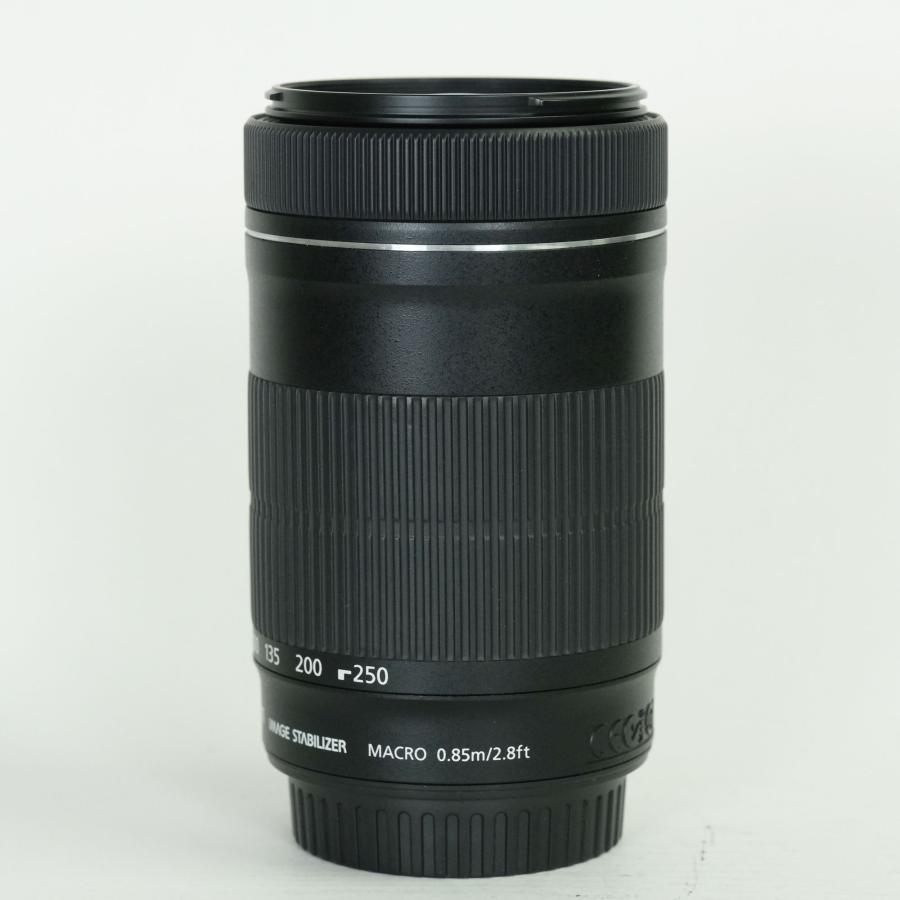 美品 | フィルター付] Canon EF-S55-250mm F4-5.6 IS STM EF-Sマウント