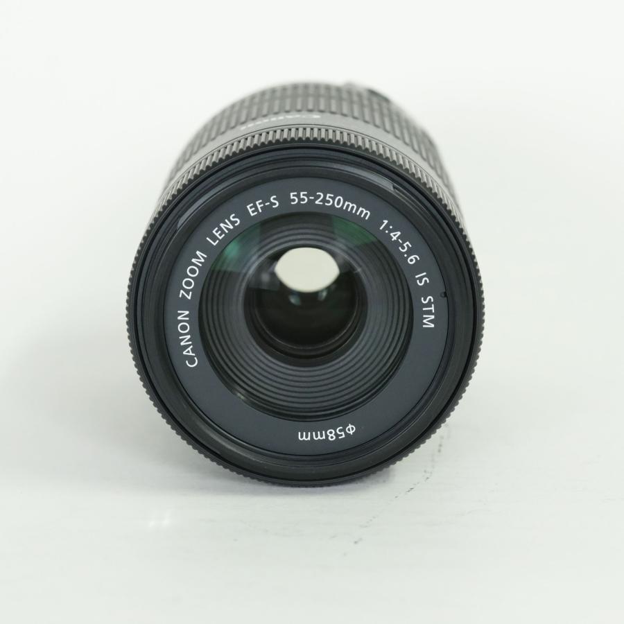 美品 | フィルター付] Canon EF-S55-250mm F4-5.6 IS STM EF-Sマウント