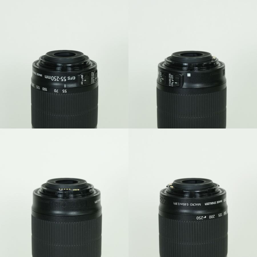 美品 | フィルター付] Canon EF-S55-250mm F4-5.6 IS STM EF-Sマウント