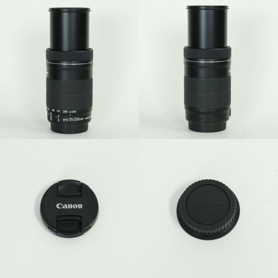 美品 | フィルター付] Canon EF-S55-250mm F4-5.6 IS STM EF-Sマウント