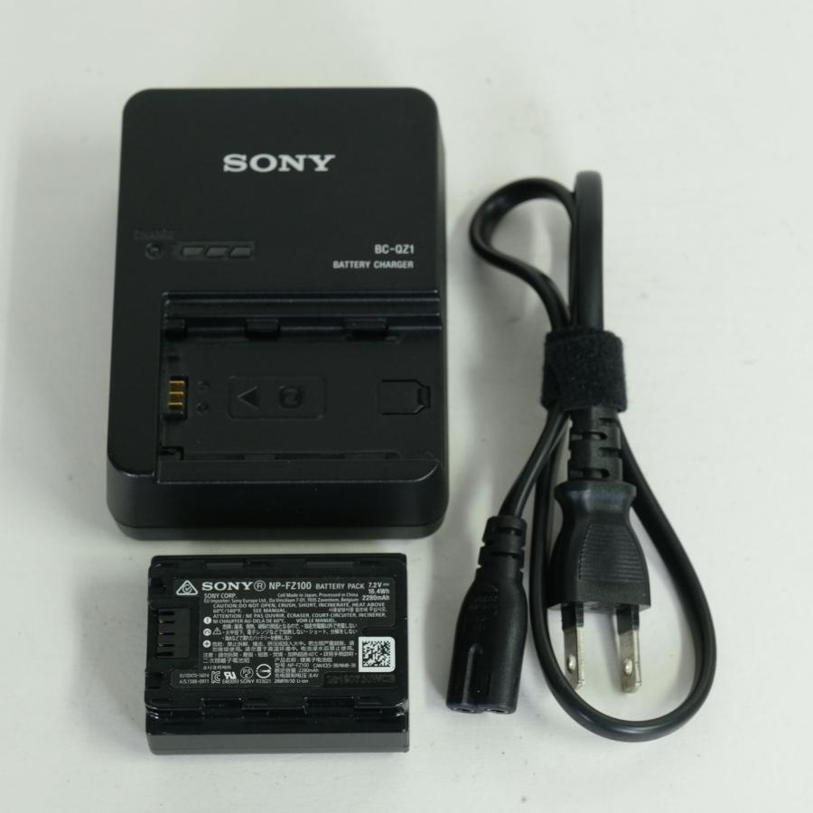 並品 | シャッター数34,000回] SONY α7R III（ILCE-7RM3） Eマウント