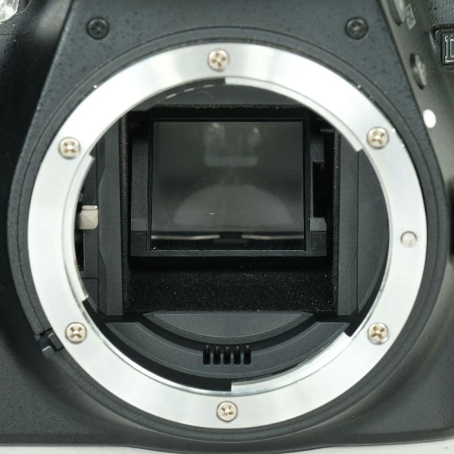 良品 | シャッター数32,700回] Nikon D3300 Fマウント : ONESCENE