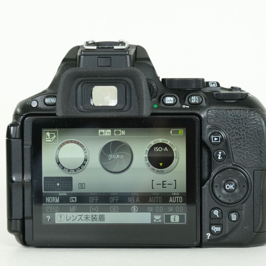 難あり品｜シャッター数40,900回] Nikon D5500 | Fマウント : ONESCENE