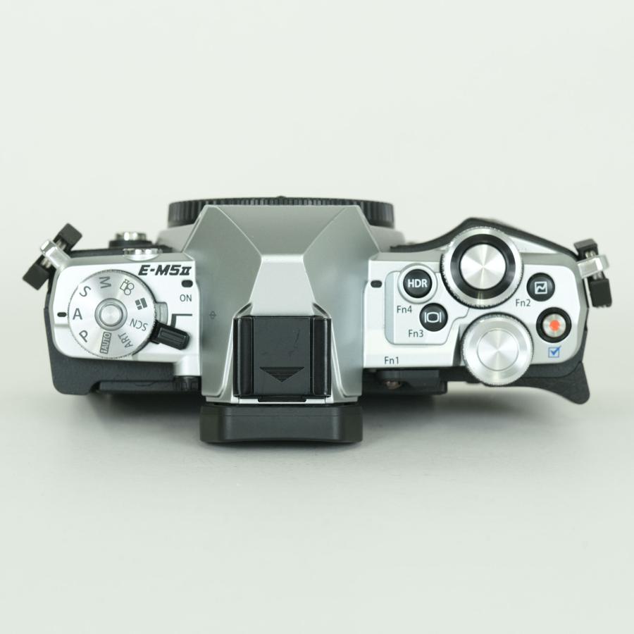 良品 | シャッター数9,600回] OLYMPUS OM-D E-M5 Mark II [ボディ