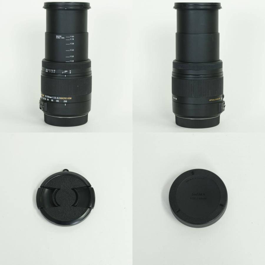 良品] SIGMA 18-250mm F3.5-6.3 DC MACRO OS HSM (キヤノンEF用