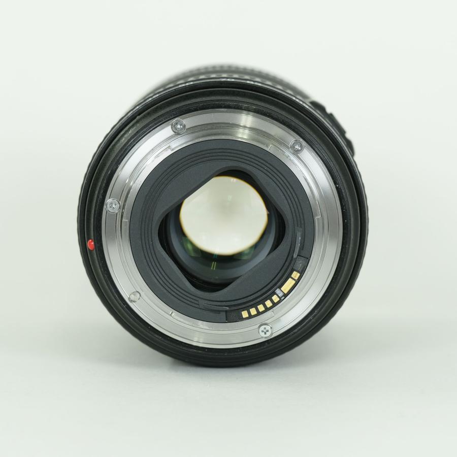 良品 | フィルター付] Canon EF24-105mm F4L IS II USM EFマウント