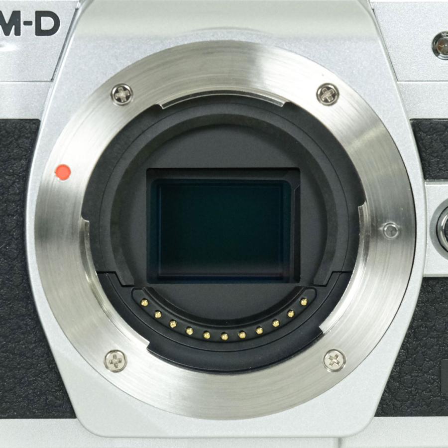 難あり品 | シャッター数4,450回｜ボディケース付] OLYMPUS OM-D E-M10