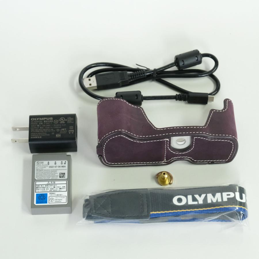 難あり品 | シャッター数4,450回｜ボディケース付] OLYMPUS OM-D E-M10