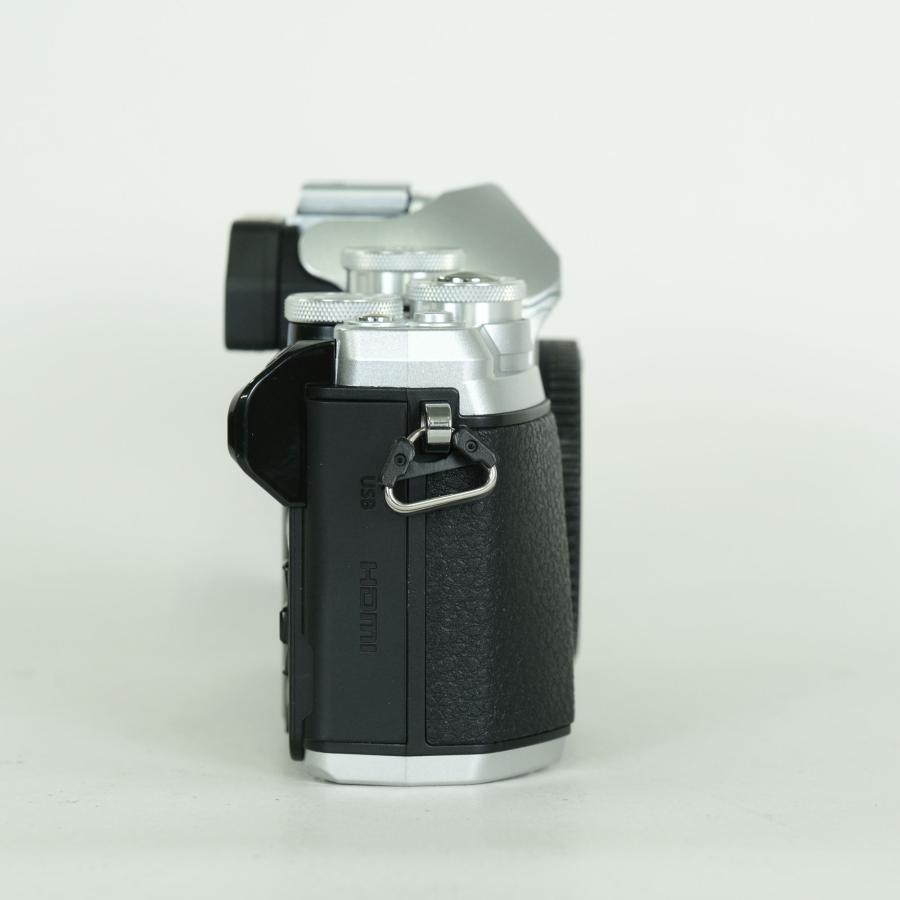 美品 | シャッター数1,720回] OLYMPUS OM-D E-M10 Mark III [ボディ