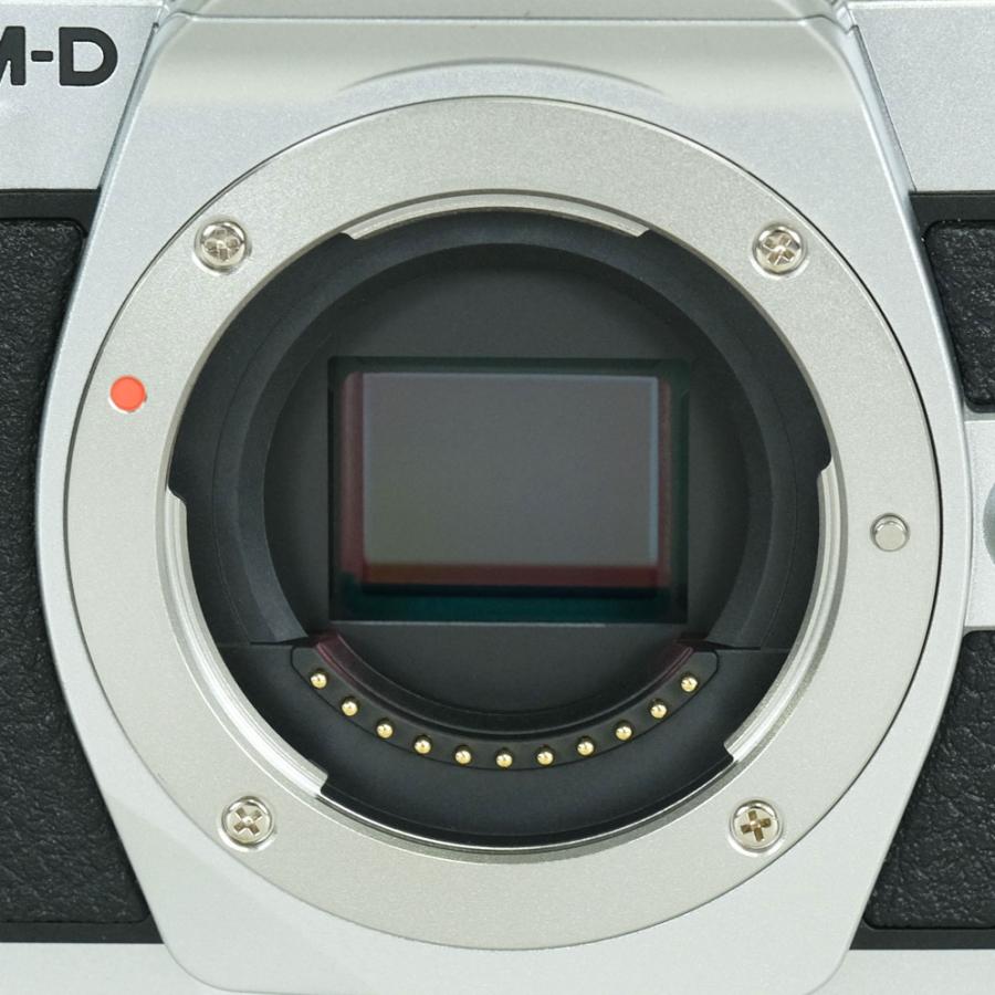 美品 | シャッター数1,720回] OLYMPUS OM-D E-M10 Mark III [ボディ