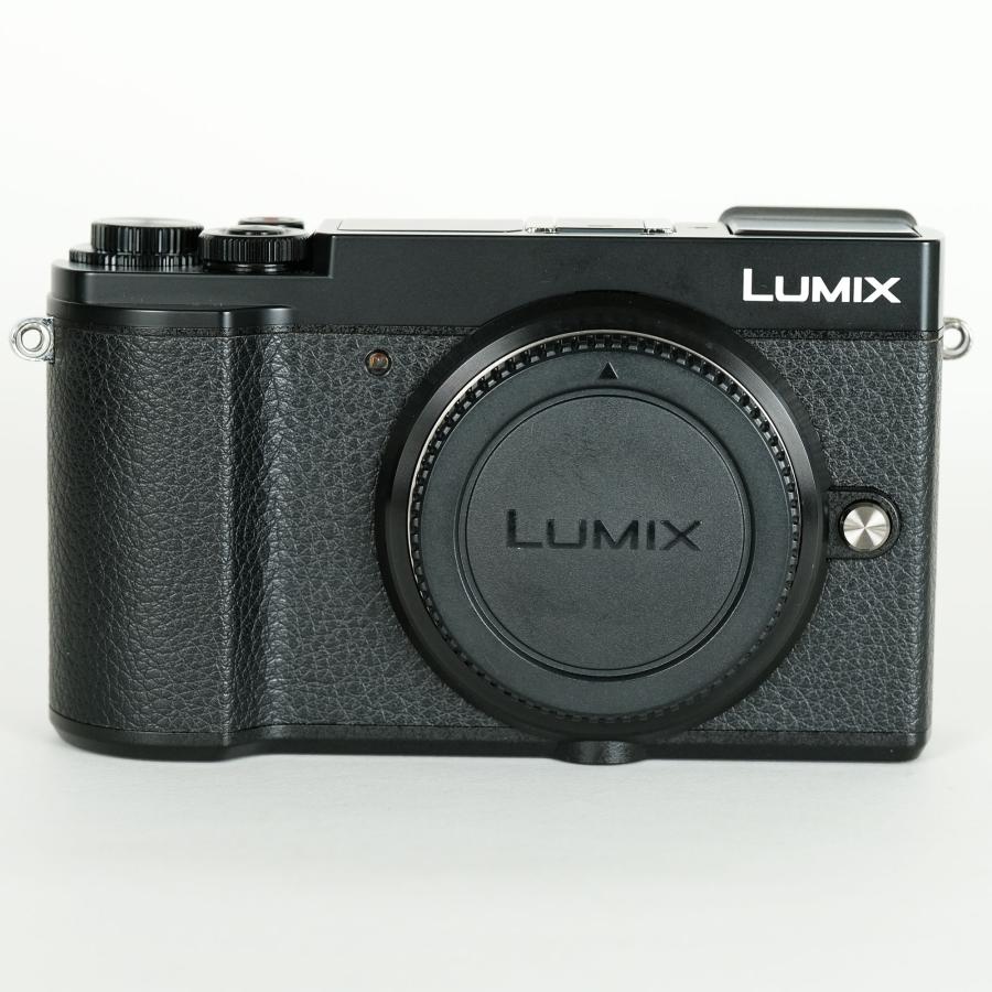 シャッター数5,342回｜バッテリー3個｜注意事項あり] Panasonic
