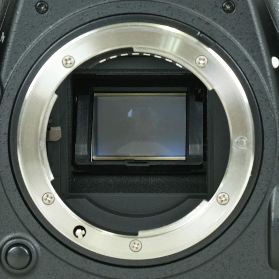 美品] Nikon D500 [ボディ] | Fマウント : ONESCENE Yahoo!店 - 通販