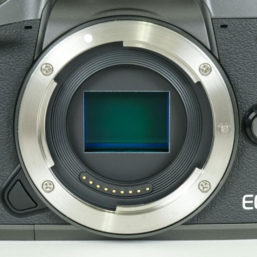 良品 | バッテリー2個付] Canon EOS M5 [ボディ] EF-Mマウント