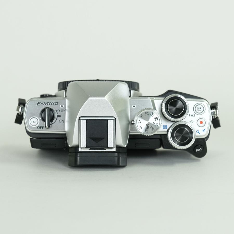 美品 | シャッター数9，030回] OLYMPUS OM-D E-M10 Mark II [ボディ