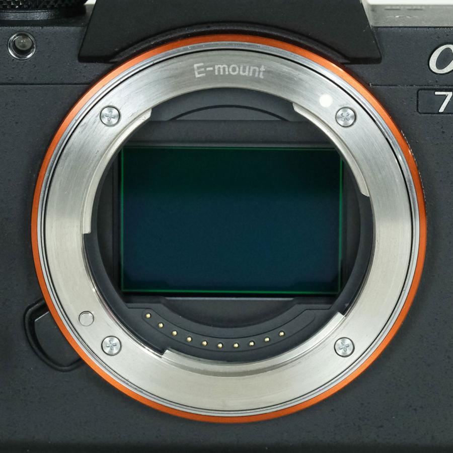 良品 | シャッター数14,001回] SONY α7S II（ILCE-7SM2） Eマウント
