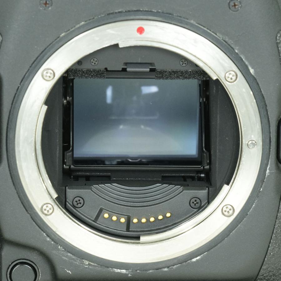 並品 | シャッター数168,000回] Canon EOS-1D X Mark II EFマウント