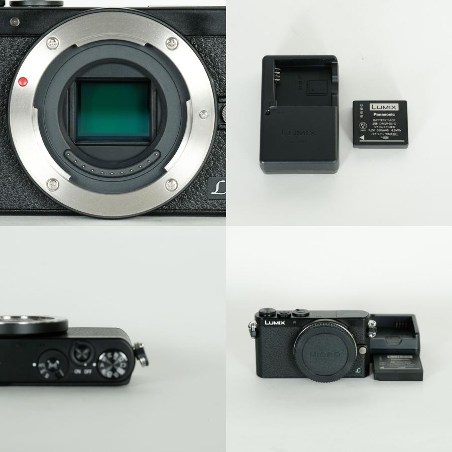 注意事項あり｜シャッター数3,592回] Panasonic LUMIX DMC-GM1ボディ