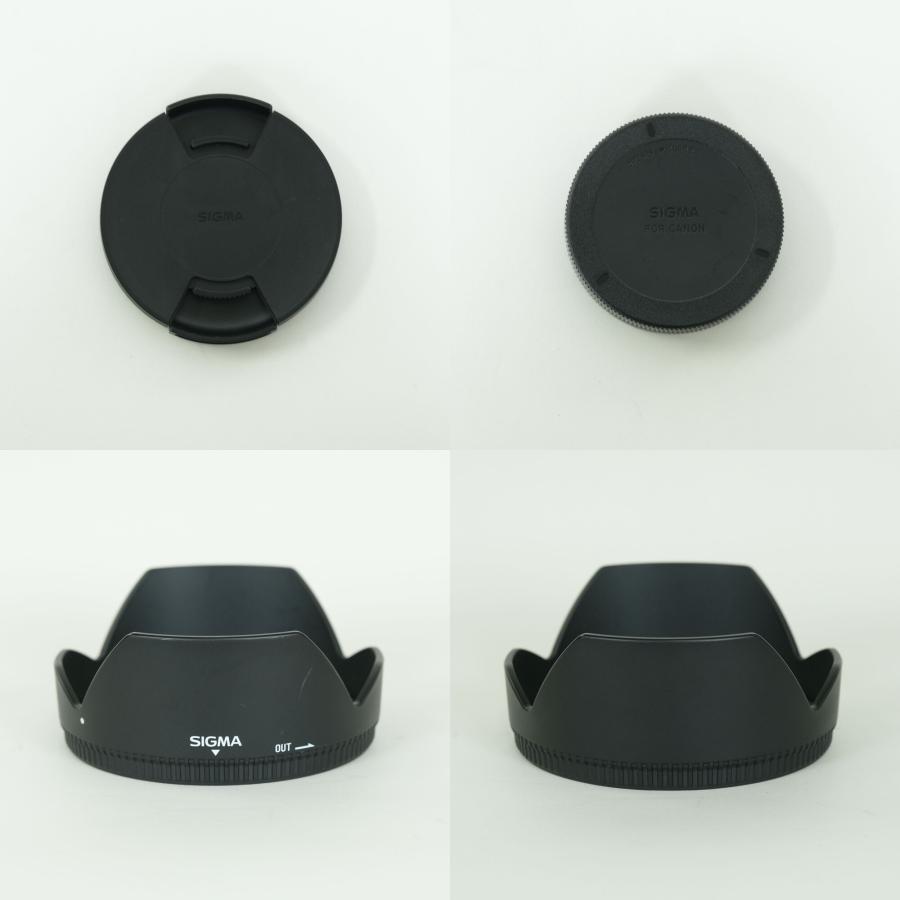 美品 | フィルター付] SIGMA 17-50mm F2.8 EX DC OS HSM (キヤノンEF用