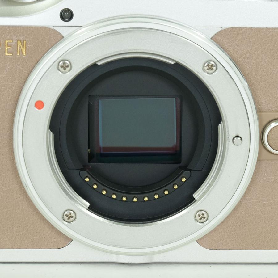並品 | シャッター数12,500回] OLYMPUS PEN E-PL10 [ボディ ブラウン
