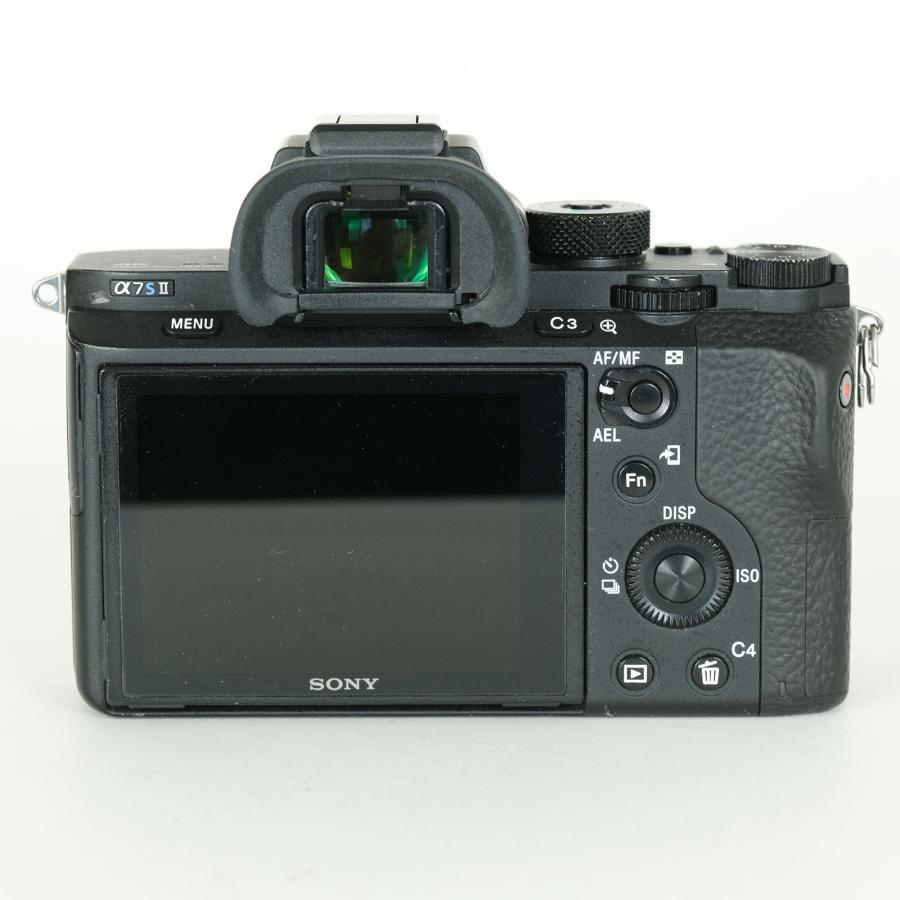 並品 | シャッター数18,835回｜バッテリー4個付] SONY α7S II（ILCE