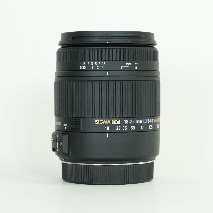 [美品 | フィルター付] SIGMA 18-250mm F3.5-6.3 DC MACRO OS HSM (キヤノンEF用) | その他_1