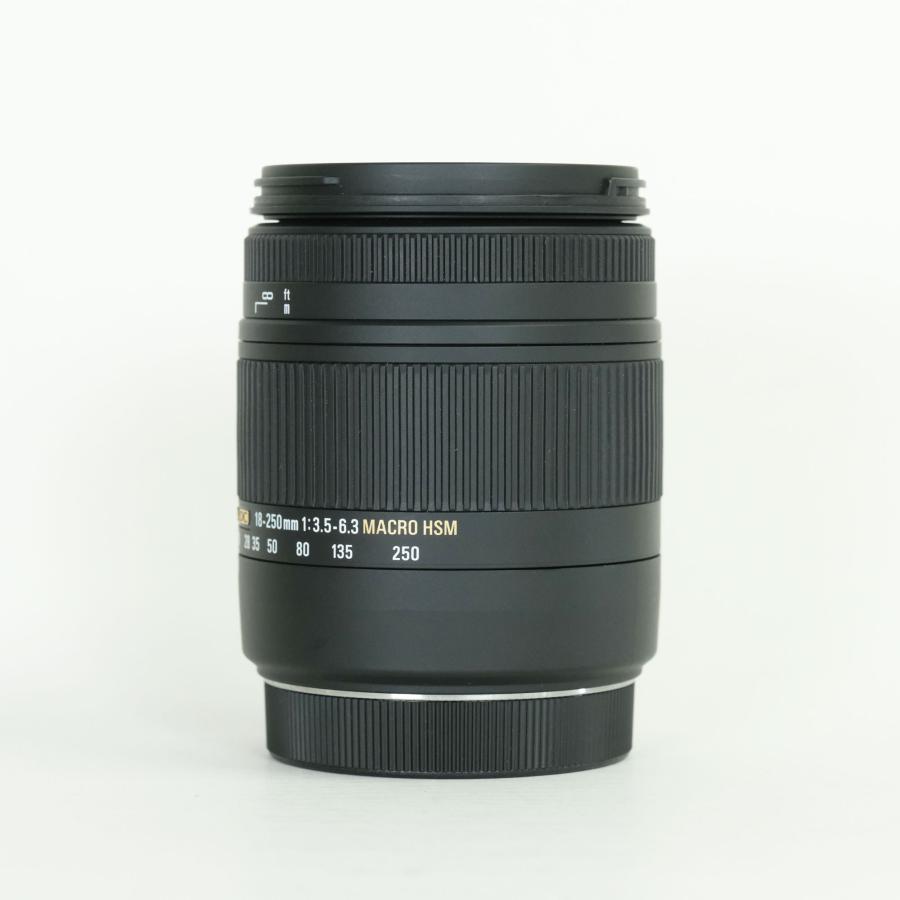 [美品 | フィルター付] SIGMA 18-250mm F3.5-6.3 DC MACRO OS HSM (キヤノンEF用) | その他_2