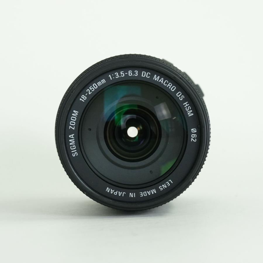 [美品 | フィルター付] SIGMA 18-250mm F3.5-6.3 DC MACRO OS HSM (キヤノンEF用) | その他_5