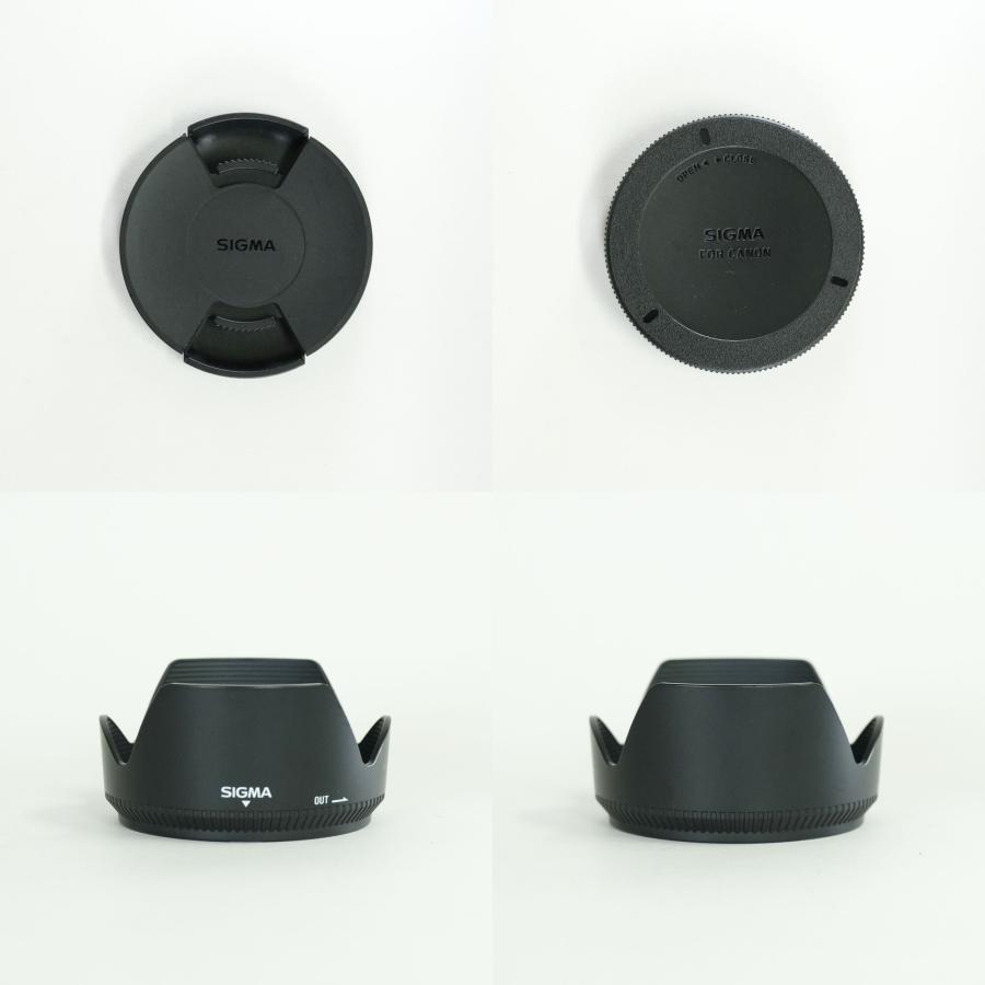 [美品 | フィルター付] SIGMA 18-250mm F3.5-6.3 DC MACRO OS HSM (キヤノンEF用) | その他_8