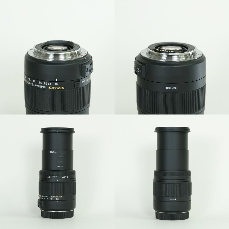 [美品 | フィルター付] SIGMA 18-250mm F3.5-6.3 DC MACRO OS HSM (キヤノンEF用) | その他_9