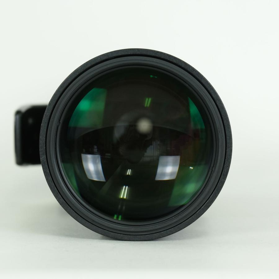 良品 | フィルター付] Nikon Ai AF-S Nikkor 300mm f/4D IF-ED F