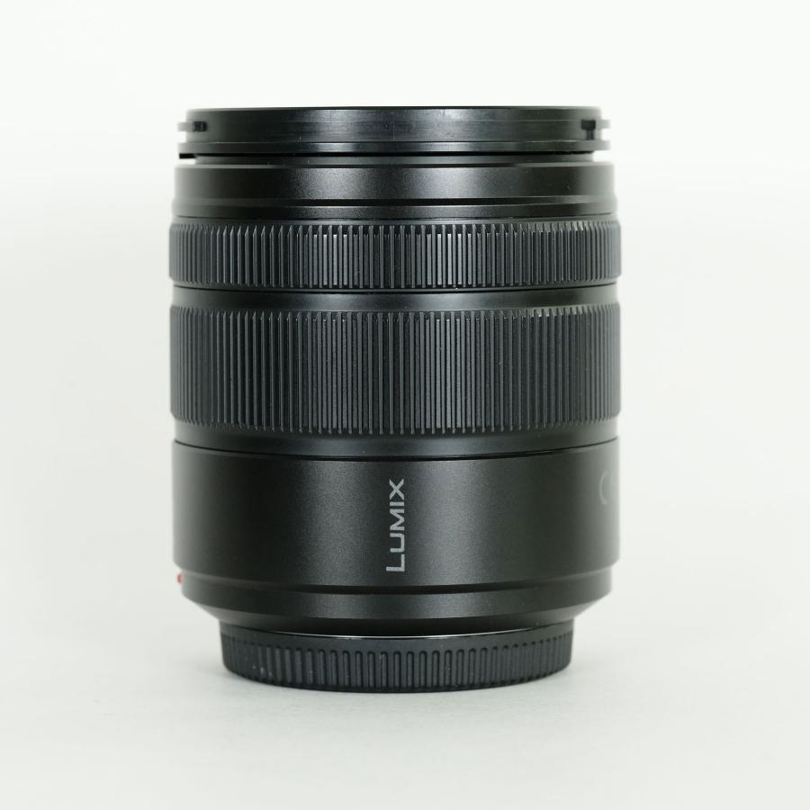 Panasonic LUMIX G VARIO 14-140mm F3.5-5.6 ASPH. POWER O.I.S. / マイクロフォーサーズマウント 【メガピクセル】