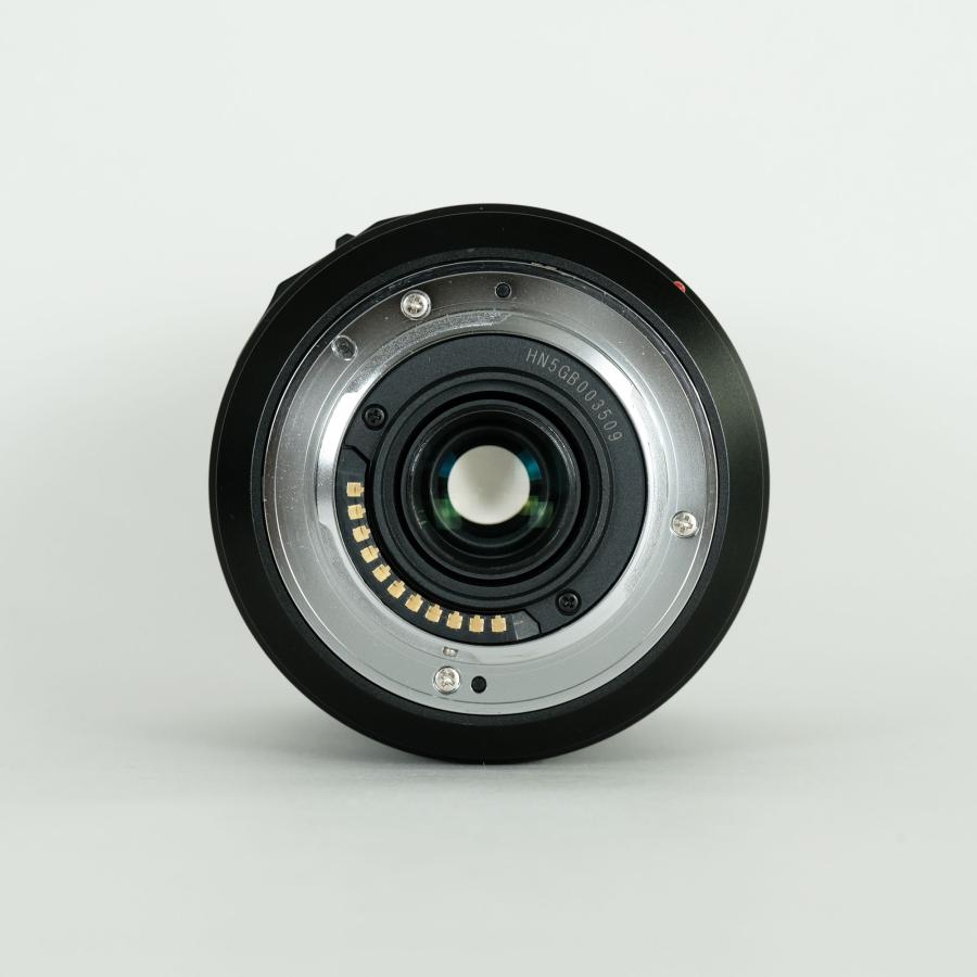 Panasonic LUMIX G VARIO 14-140mm F3.5-5.6 ASPH. POWER O.I.S. / マイクロフォーサーズマウント 【メガピクセル】