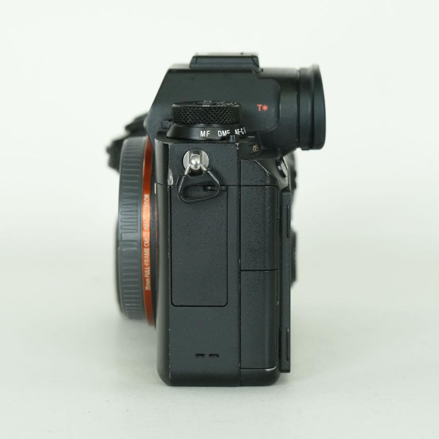 並品 | シャッター数146,478回｜バッテリーグリップ・リグ付] SONY α9