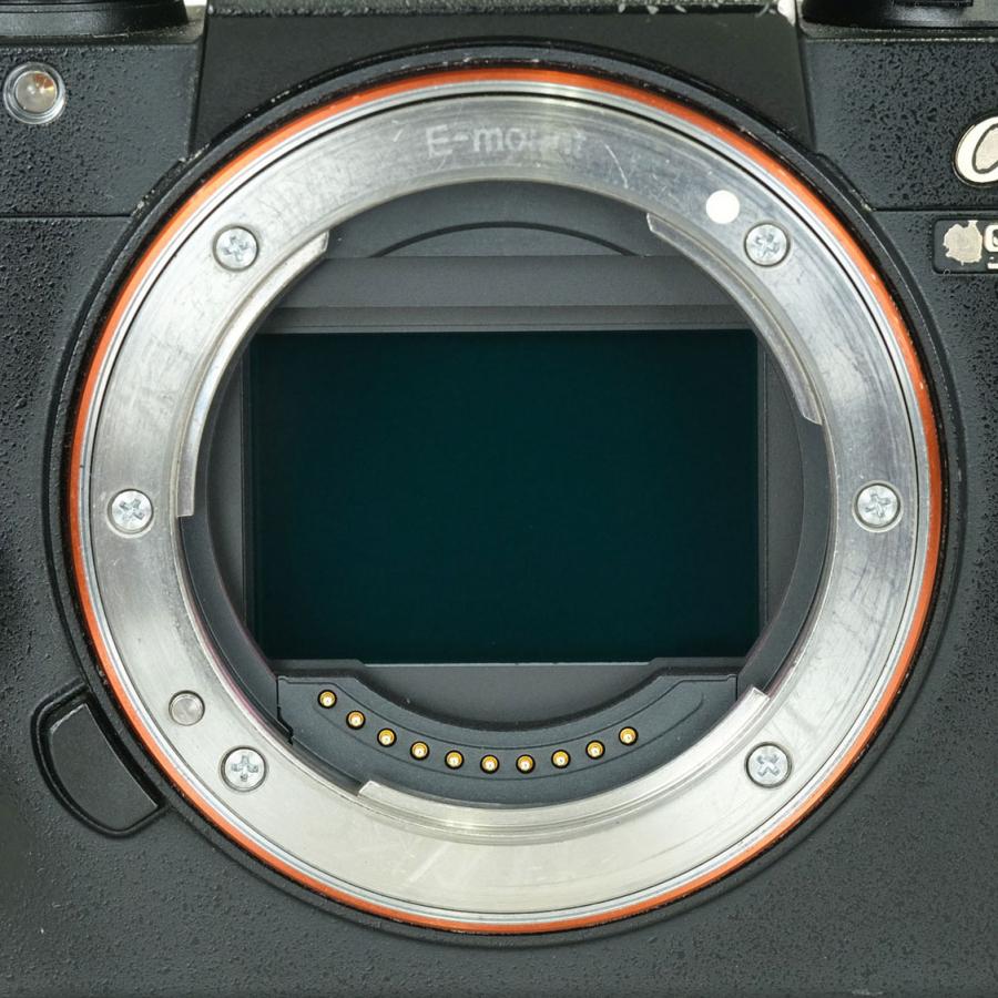 並品 | シャッター数146,478回｜バッテリーグリップ・リグ付] SONY α9