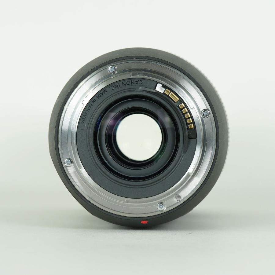 良品 | フード・フィルター付] Canon EF70-300mm F4-5.6 IS II USM 