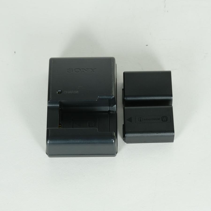 並品 | シャッター数52,920回] SONY α7 II（ILCE-7M2） [ボディ] E