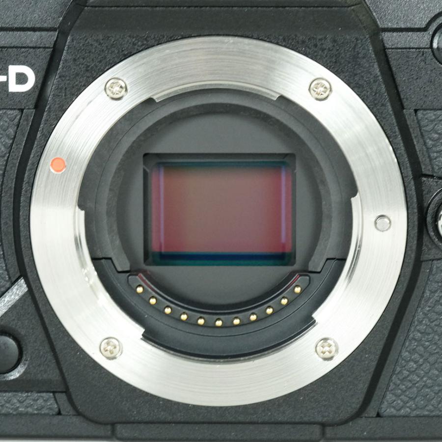 美品 | シャッター数13,588回] OLYMPUS OM-D E-M5 Mark III [ボディ