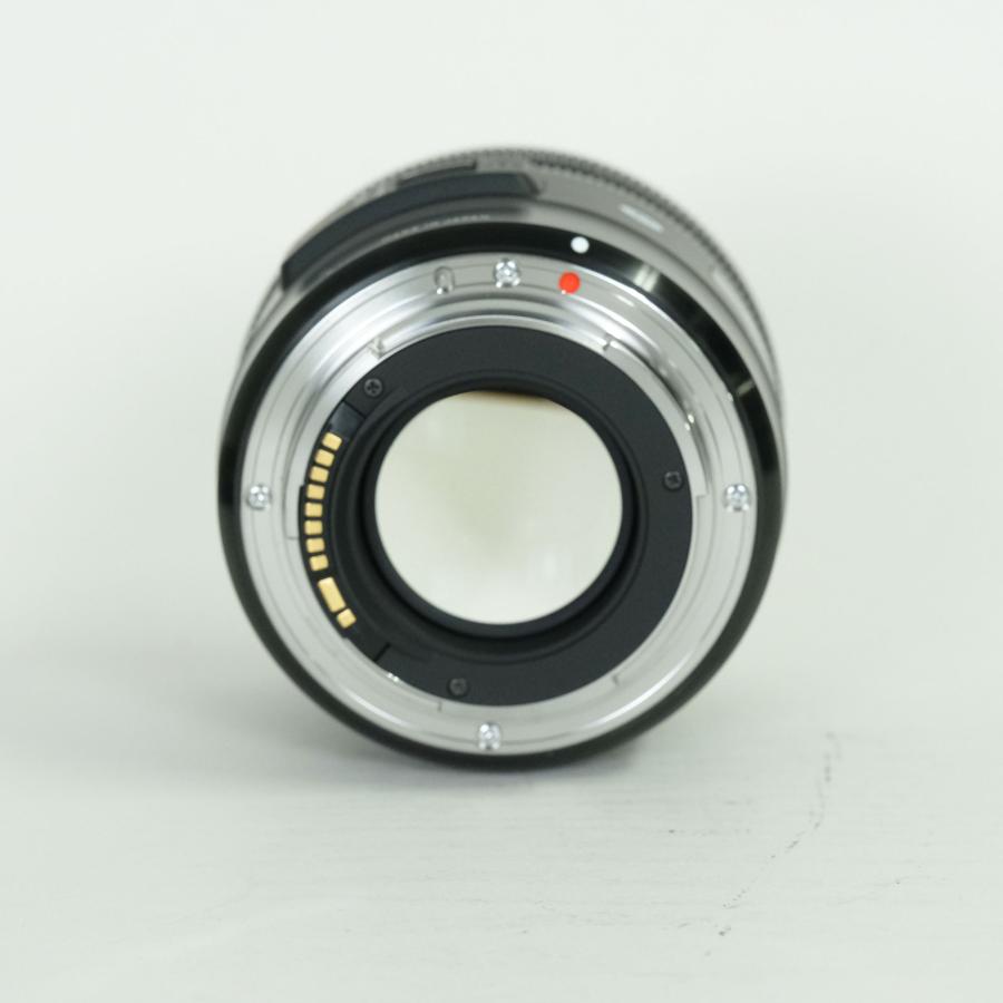 美品 | フィルター付] SIGMA 30mm F1.4 DC HSM Art [キヤノン用] Canon