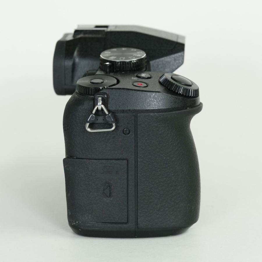 良品 | シャッター数12,580回] Panasonic LUMIX DMC-G8 マイクロフォー