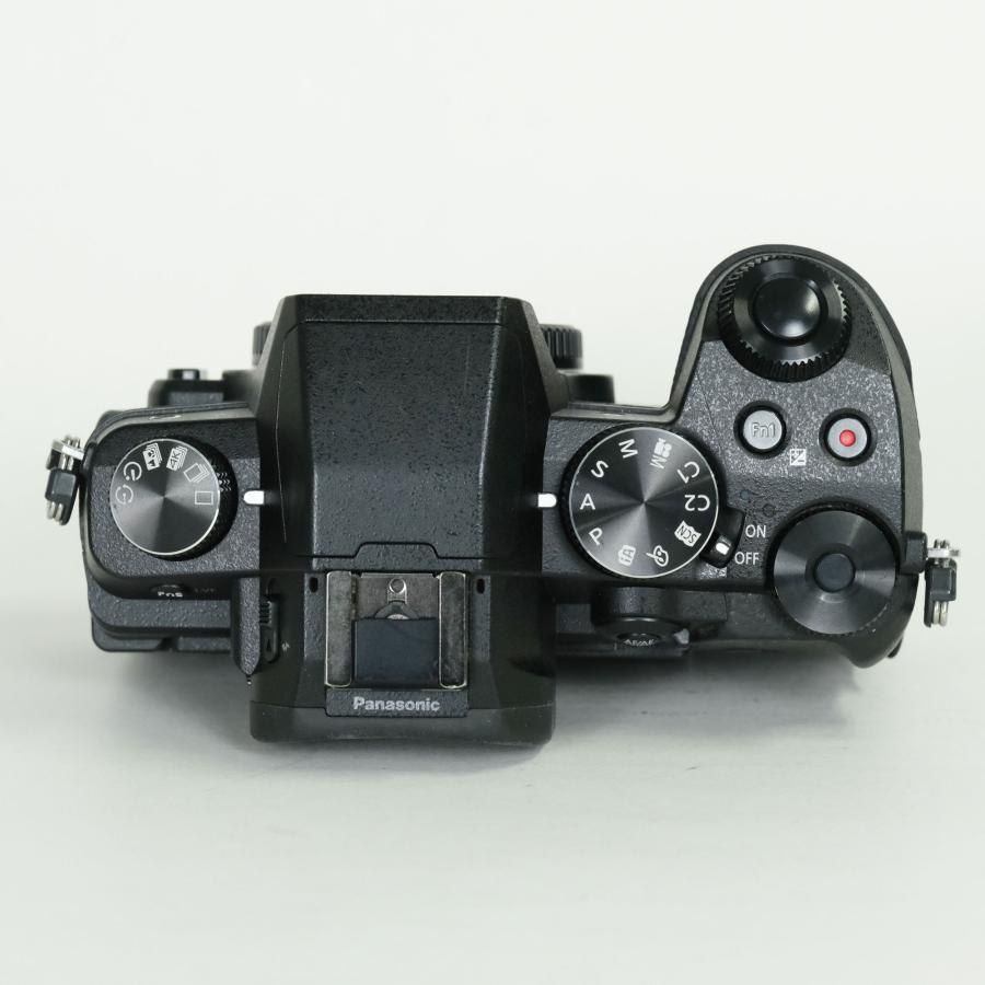 良品 | シャッター数12,580回] Panasonic LUMIX DMC-G8 マイクロフォー