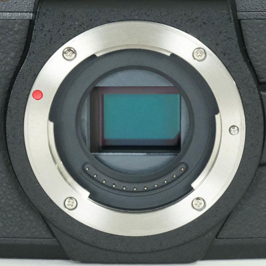 良品 | シャッター数12,580回] Panasonic LUMIX DMC-G8 マイクロフォー