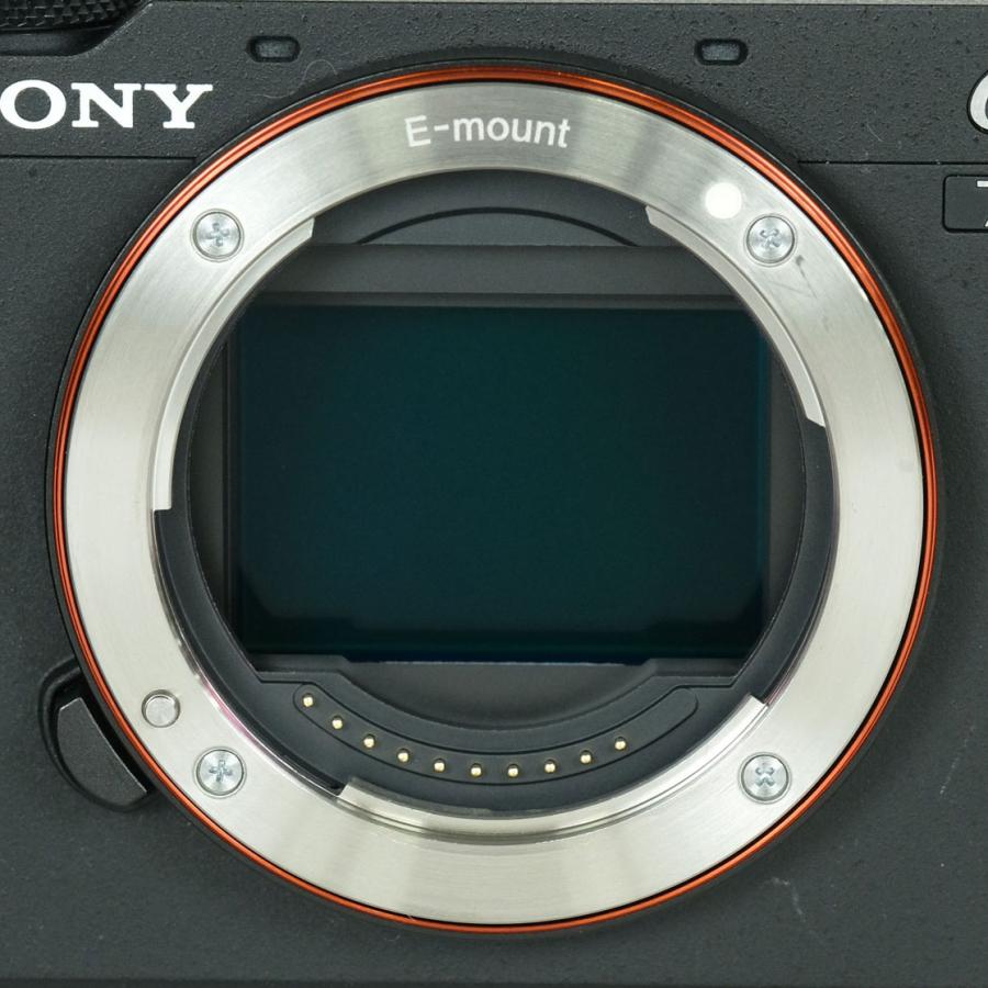 美品 | シャッター数458回｜チャージャー付] SONY α7C II（ILCE-7CM2