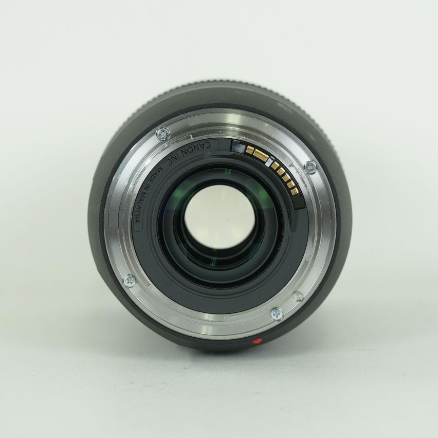 並品 | フード・フィルター付] Canon EF70-300mm F4-5.6 IS II USM EF