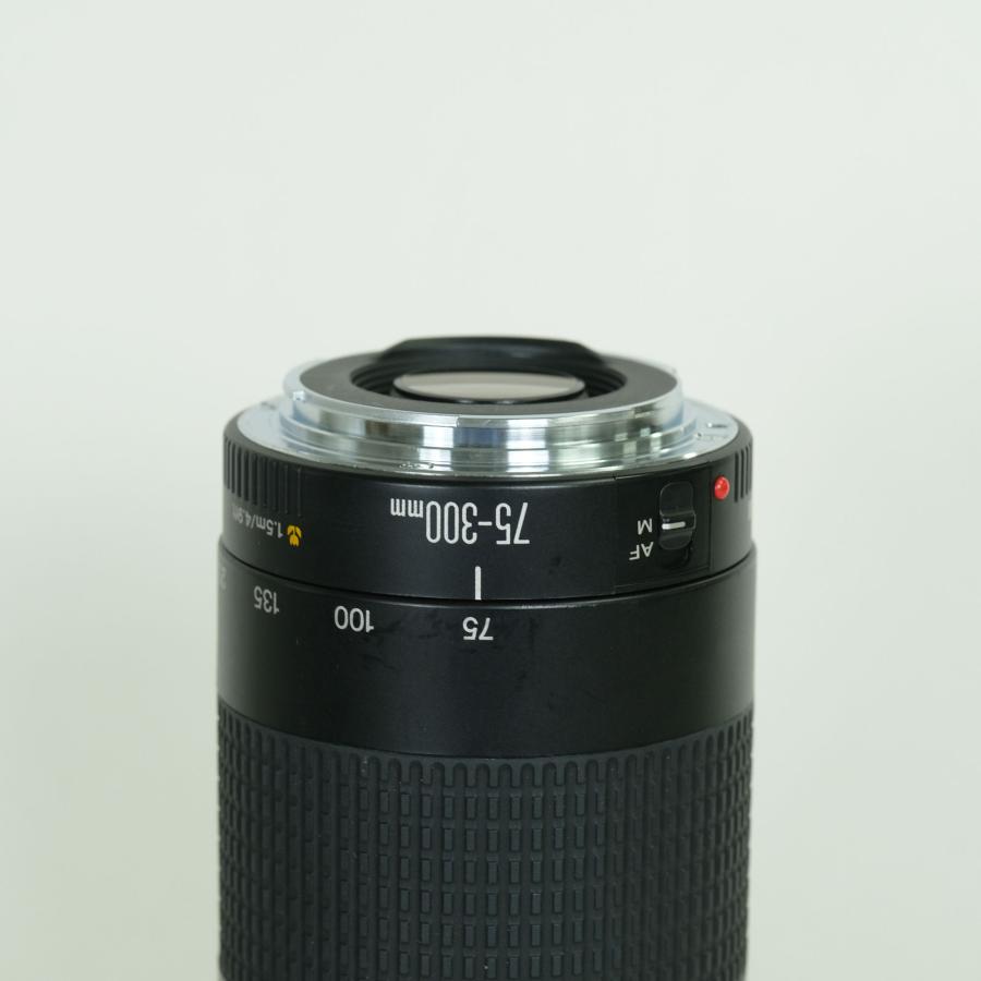 【美品】Canon EF 75-300mm F4-5.6 II USM 並品] Canon EF75-300mm F4-5.6 II USM | EFマウント : ONESCENE Yahoo