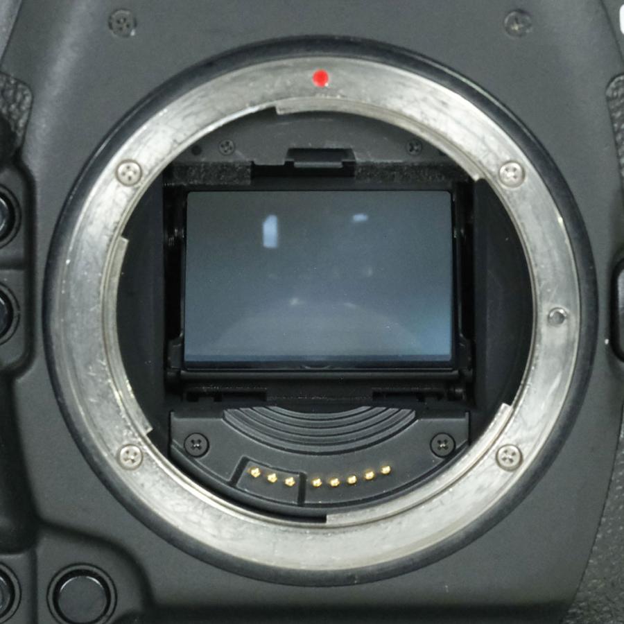 並品 | シャッター数240,000回] Canon EOS-1D X Mark II EFマウント