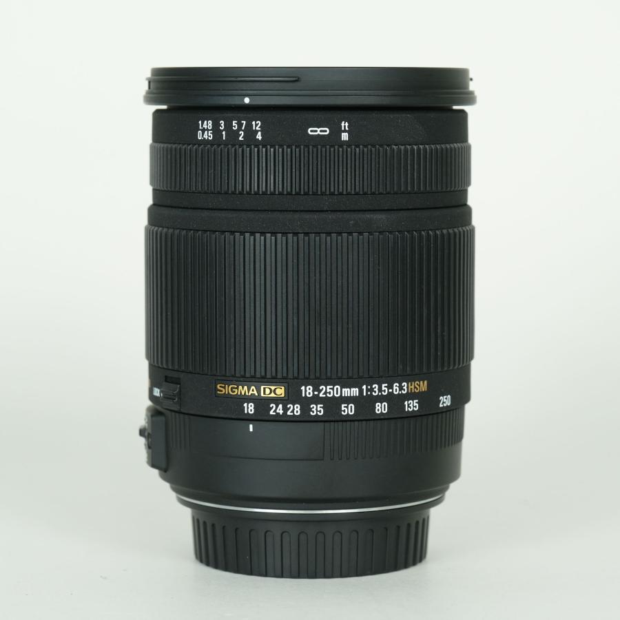 美品 | フィルター付] SIGMA 18-250mm F3.5-6.3 DC OS HSM [キヤノンEF