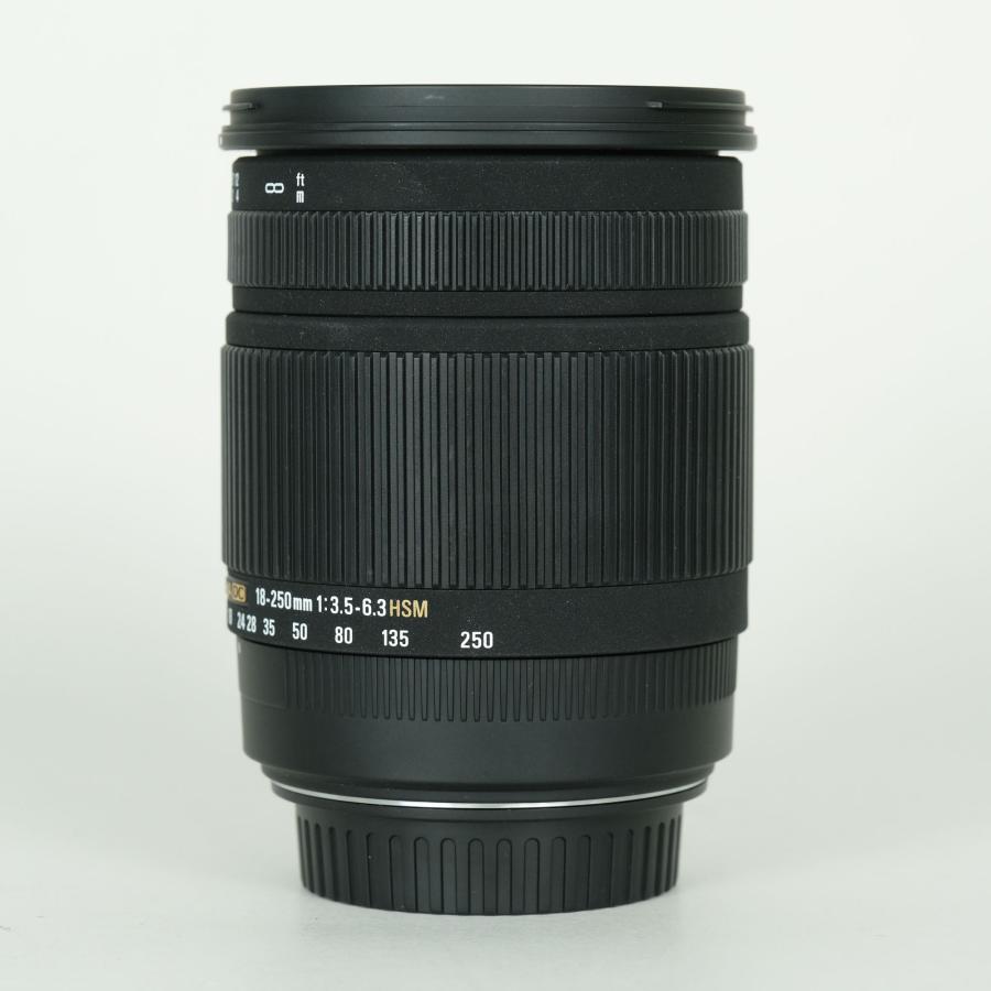 美品 | フィルター付] SIGMA 18-250mm F3.5-6.3 DC OS HSM [キヤノンEF