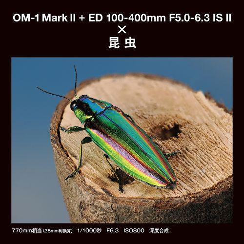 OM SYSTEM OM-1 Mark II 100-400mm 超望遠レンズキット ミラーレス一眼
