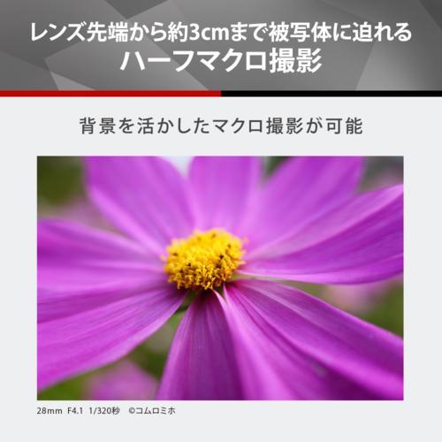 【長期5年保証付】パナソニック(Panasonic) LUMIX S 28-200 mm F4-7.1 MACRO O.I.S. S-R28200 ライカ_3