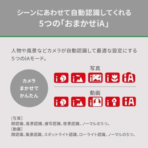 【長期5年保証付】パナソニック(Panasonic) HC-VX3W パールホワイト 4K デジタルビデオカメラ_6